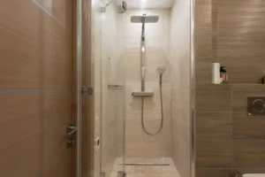 Benefits Of A Tub-To-Shower Conversion - Modern shower in bathroom
